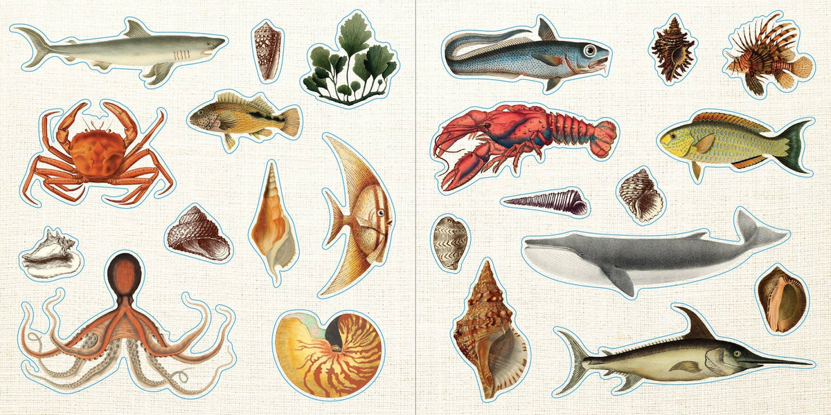 Loads of Ephemera! Sticker Book