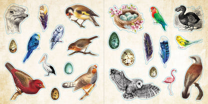 Loads of Ephemera! Sticker Book